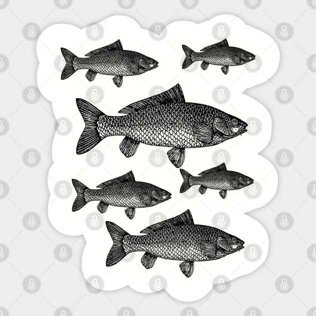 School of Fish Lots of Fish Swimming Fish in a group Fishermans gift Carp group Lots of Fish Sticker by penandinkdesign@hotmail.com